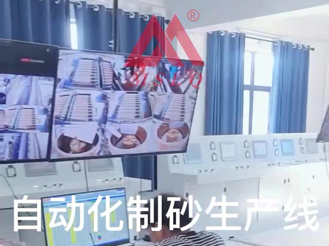 Video: Automatic sand making line from Shanghai MSLQ